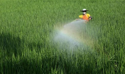 Funciones antiespumantes y de mejora de la eficiencia de los antiespumantes pesticidas